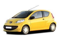 Peugeot 107 Induction Kits
