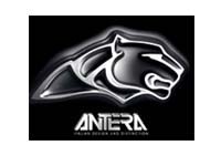 22" Antera Alloy Wheels