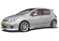 Peugeot 307 Induction Kits