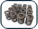 Valve Springs