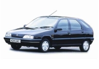 Citroen ZX Induction Kits