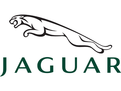 Jaguar Car Bra