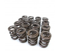 Skunk2 - Honda Prelude 93-01 H-Series VTEC Valve Spring Set