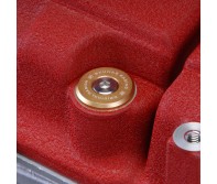 Skunk2 - B-Series Low-Profile Valve Cover Hardware (Gold)